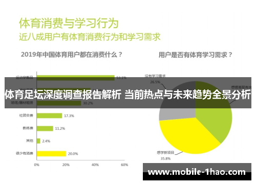 体育足坛深度调查报告解析 当前热点与未来趋势全景分析