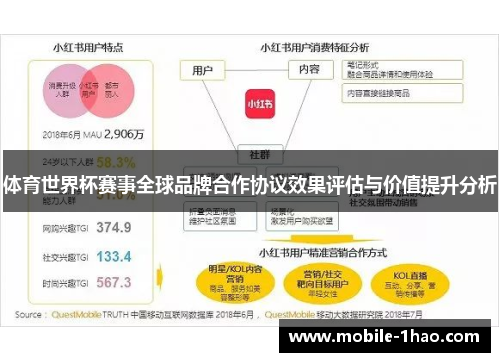 体育世界杯赛事全球品牌合作协议效果评估与价值提升分析