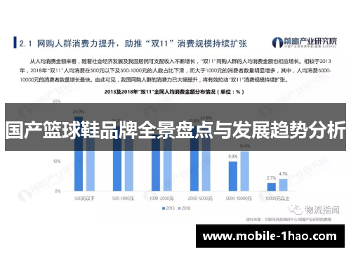 国产篮球鞋品牌全景盘点与发展趋势分析