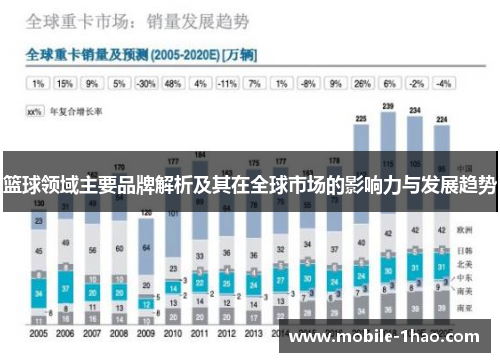 篮球领域主要品牌解析及其在全球市场的影响力与发展趋势