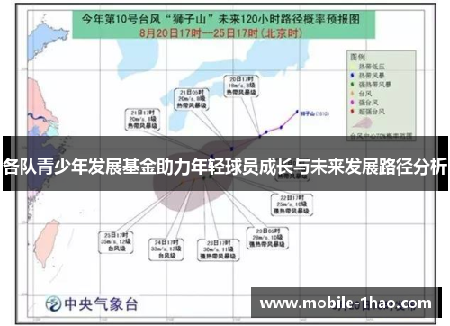 各队青少年发展基金助力年轻球员成长与未来发展路径分析