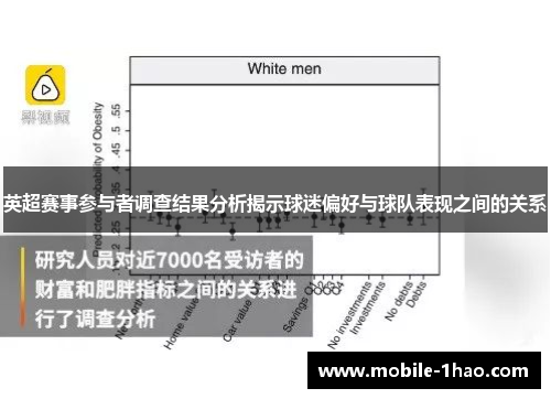 英超赛事参与者调查结果分析揭示球迷偏好与球队表现之间的关系