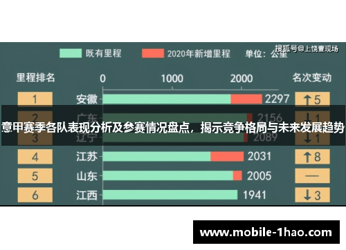 意甲赛季各队表现分析及参赛情况盘点，揭示竞争格局与未来发展趋势