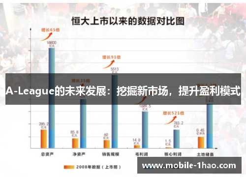 A-League的未来发展：挖掘新市场，提升盈利模式