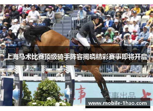 上海马术比赛顶级骑手阵容揭晓精彩赛事即将开启