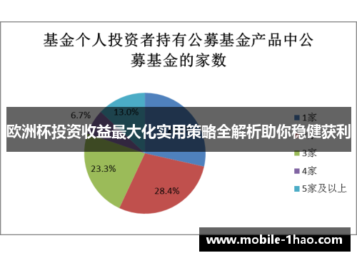 欧洲杯投资收益最大化实用策略全解析助你稳健获利