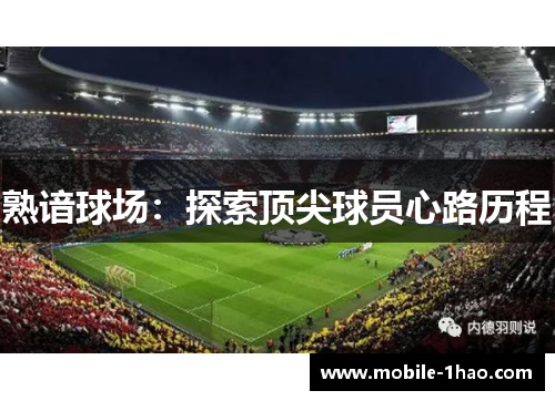 熟谙球场：探索顶尖球员心路历程