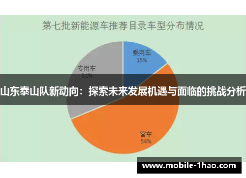 山东泰山队新动向：探索未来发展机遇与面临的挑战分析