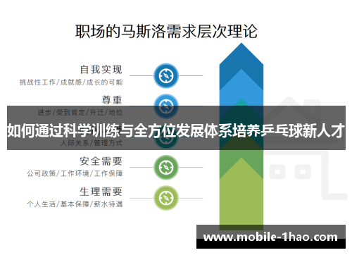 如何通过科学训练与全方位发展体系培养乒乓球新人才