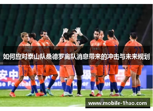 如何应对泰山队桑德罗离队消息带来的冲击与未来规划