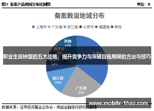 职业生涯转型的五大战略：提升竞争力与突破自我局限的方法与技巧