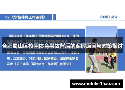 合肥蜀山区校园体育事故背后的深层原因与对策探讨