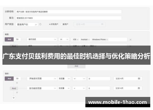 广东支付贝兹利费用的最佳时机选择与优化策略分析