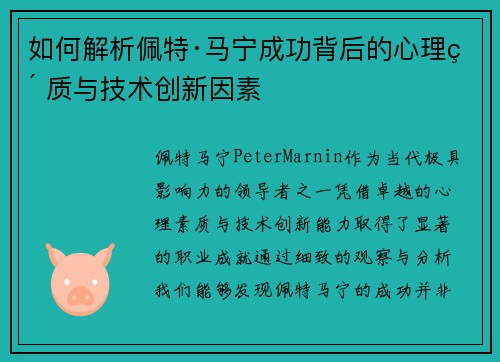 如何解析佩特·马宁成功背后的心理素质与技术创新因素