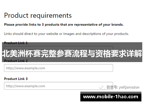 北美洲杯赛完整参赛流程与资格要求详解