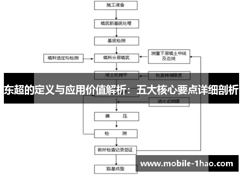 东超的定义与应用价值解析：五大核心要点详细剖析