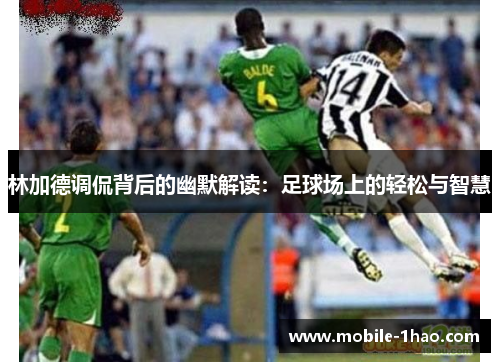 林加德调侃背后的幽默解读：足球场上的轻松与智慧