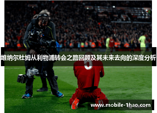 维纳尔杜姆从利物浦转会之路回顾及其未来去向的深度分析