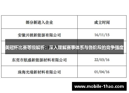 美冠杯比赛等级解析：深入理解赛事体系与各阶段的竞争强度