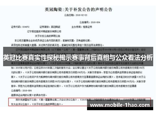 英冠比赛真实性探秘揭示赛事背后真相与公众看法分析