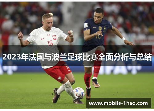 2023年法国与波兰足球比赛全面分析与总结