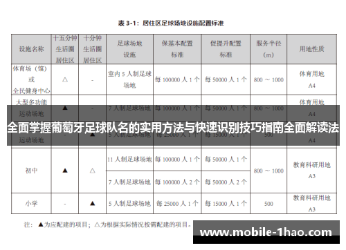 全面掌握葡萄牙足球队名的实用方法与快速识别技巧指南全面解读法