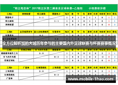 全方位解析加的夫城历年参与的主要国内外足球联赛与杯赛赛事概况