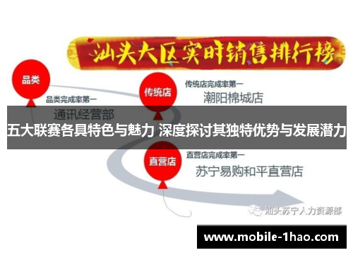 五大联赛各具特色与魅力 深度探讨其独特优势与发展潜力