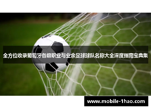 全方位收录葡萄牙各级职业与业余足球球队名称大全深度指南宝典集 全方位收录葡萄牙各级职业与业余足球球队名称大全深度指南宝典集