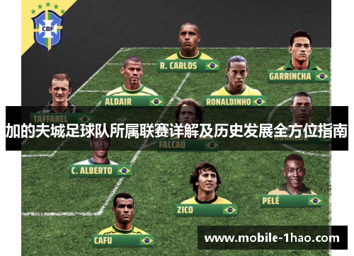 加的夫城足球队所属联赛详解及历史发展全方位指南