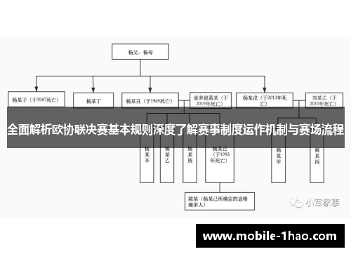 全面解析欧协联决赛基本规则深度了解赛事制度运作机制与赛场流程