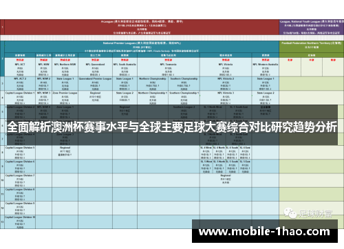 全面解析澳洲杯赛事水平与全球主要足球大赛综合对比研究趋势分析