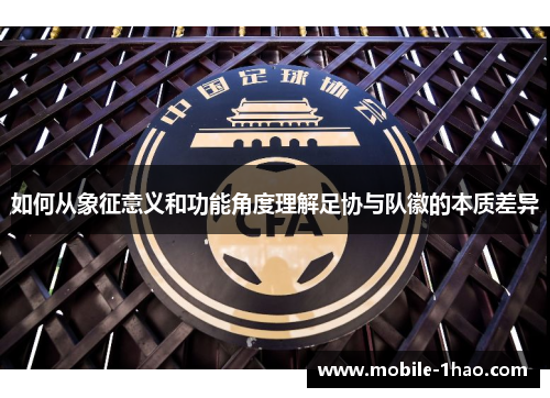 如何从象征意义和功能角度理解足协与队徽的本质差异 如何从象征意义和功能角度理解足协与队徽的本质差异