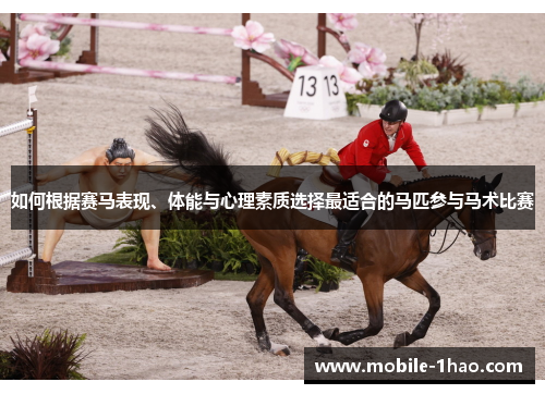 如何根据赛马表现、体能与心理素质选择最适合的马匹参与马术比赛