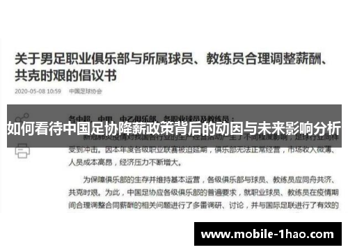 如何看待中国足协降薪政策背后的动因与未来影响分析
