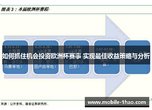 如何抓住机会投资欧洲杯赛事 实现最佳收益策略与分析