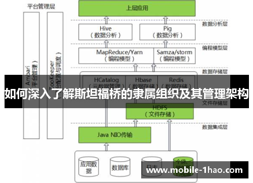 如何深入了解斯坦福桥的隶属组织及其管理架构 如何深入了解斯坦福桥的隶属组织及其管理架构