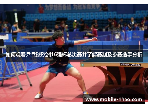 如何观看乒乓球欧洲16强杯总决赛并了解赛制及参赛选手分析
