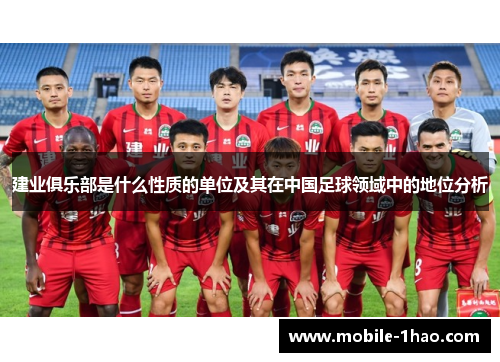 建业俱乐部是什么性质的单位及其在中国足球领域中的地位分析