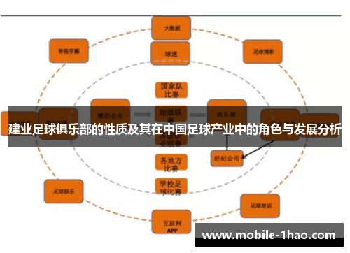 建业足球俱乐部的性质及其在中国足球产业中的角色与发展分析