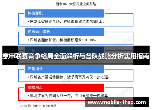 意甲联赛竞争格局全面解析与各队战略分析实用指南