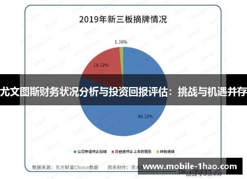 尤文图斯财务状况分析与投资回报评估：挑战与机遇并存