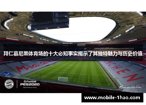 拜仁慕尼黑体育场的十大必知事实揭示了其独特魅力与历史价值